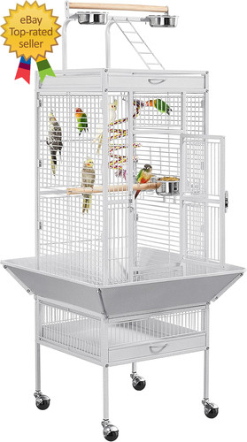 Wrought iron bird - iron, cages,