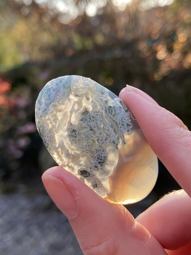 Moss agate large dendritic - large,