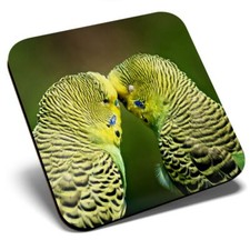 Square Single Coaster  - Green Yellow Budgie Pair Bird  #45239