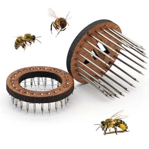 Bee queen marking cages - bee,