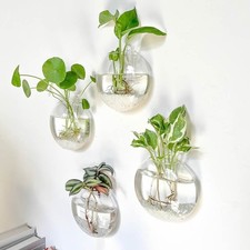 Wall Hanging Planter Glass Hydroponic Vase Plant Terrarium Ball Flower Pot 5''