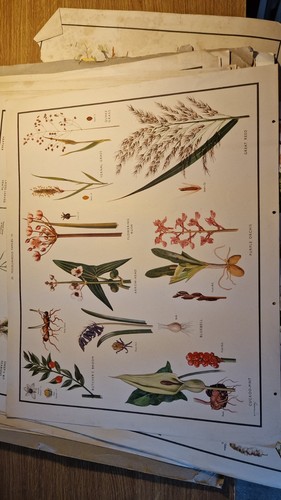Vintage macmillan school - vintage,