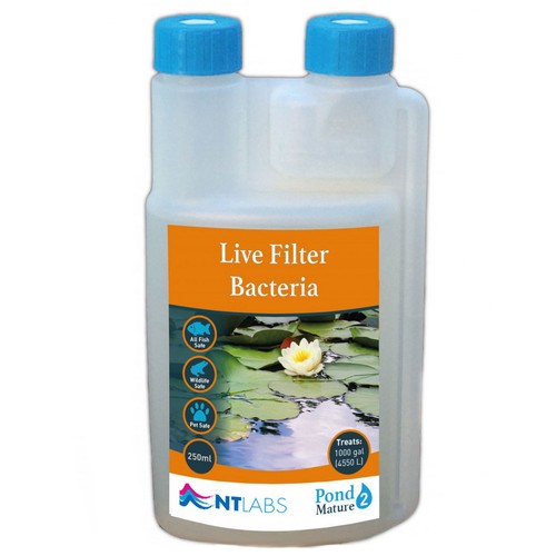 Labs pond mature live - pond,