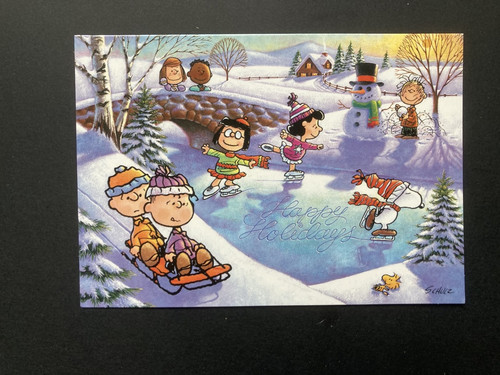 Superb snoopy xmas - ,