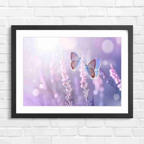 Blue butterflies pink - butterflies,