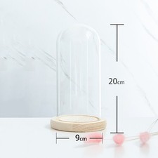 Glass Dome Display Bell Jar