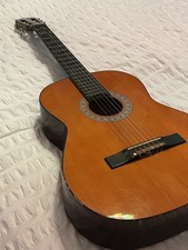 Eko recanati acoustic - acoustic, guitar