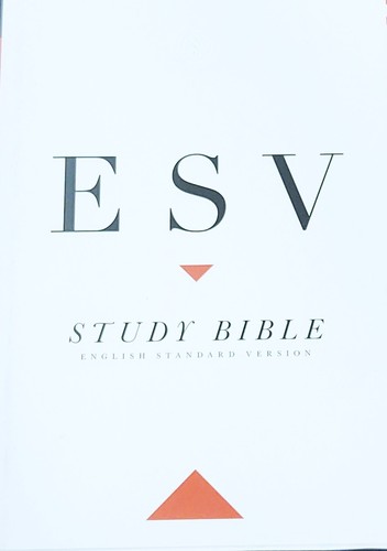 New study bible - new!, bible~