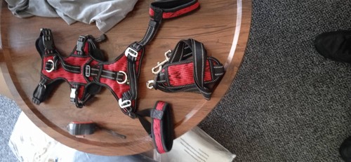 Mobility dog lift harness - mobility,