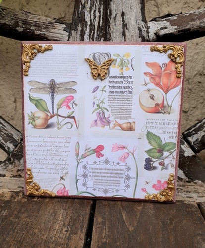 Boho shabby chic - shabby, botanical