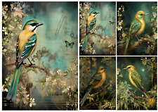 2 Sheets - A4 Rice Paper Decoupage - Vintage, Forest, Birds, Upcycling