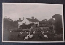 RP Postcard, Social History, Rural Farming, Young Boy With Chickens