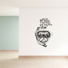 Hit A Star Quote Snorkeling