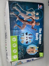 Human Torso Body Model Anatomy