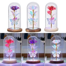 Eternal Forever Galaxy Rose Preserved Rose Glass Dome Lamp with LED Gift Decor