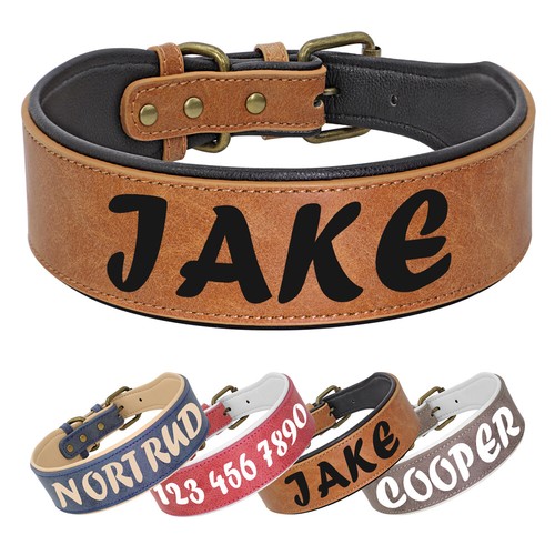 5cm wide pet dog collar - pet,