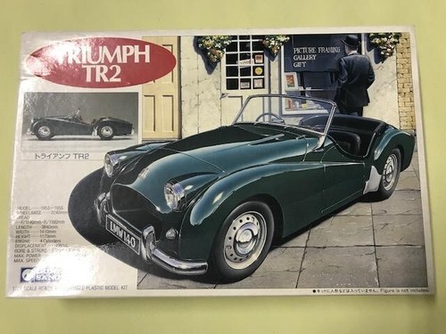 Gunze sangyo triumph - 1/24,