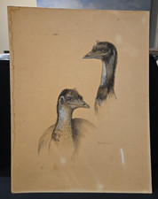 Vintage Emu Detailed Line