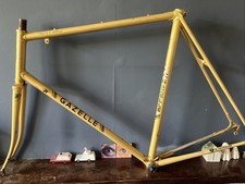 Gazelle champion mondial - gazelle,