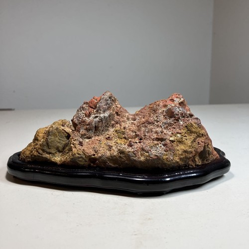Suiseki bonsai japanese - bonsai,