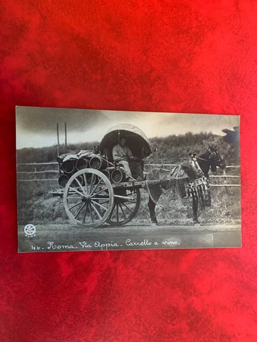 Postcard mint romany horse - postcard,