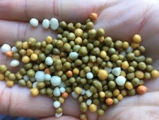 1kg OSMOCOTE PRO, SLOW RELEASE  PLANT FOOD FERTILISER