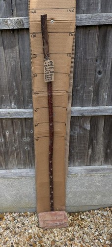 Blackthorn walking stick shank - blackthorn,