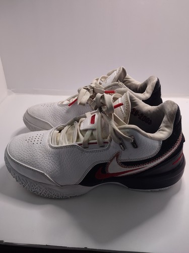 Nike zoom lebron nxxt gen - nike,