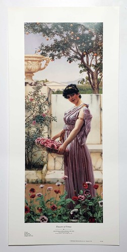 Flowers venus john - flowers,