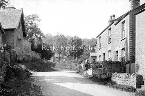 Wsd mitcheldean - wsd-37,