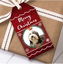 Bearded Collie Dog Christmas