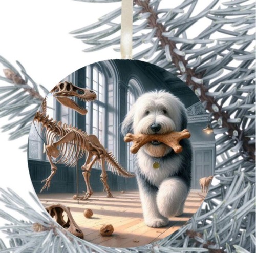 Old english sheepdog dog - old,