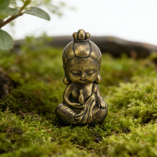 Miniature garden feng - feng, zen