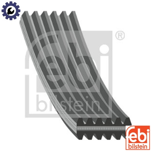 Vribbed belt 37651 for - vribbed, agz/aqn