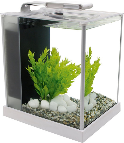 Spec iii gallon aquarium - iii,