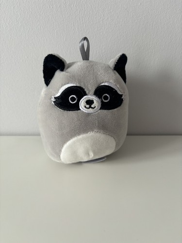 Rocky the raccoon - rocky,
