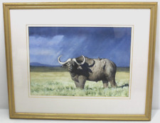 Original Watercolour by Katy Sodeau (Equestrian & Wildlife Artist) Water Buffalo