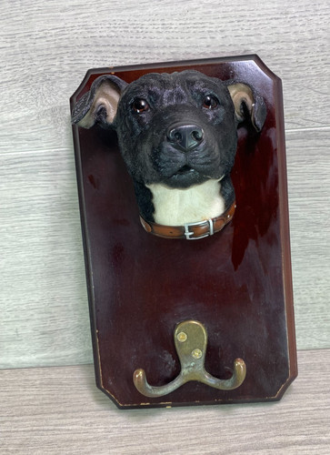 Staffordshire bull terrier dog - staffordshire,