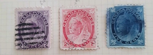 Canada queen victoria maple - queen,