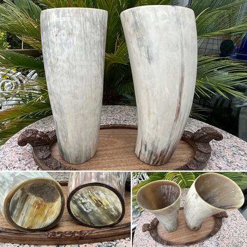 Rare pair large polished - pair,