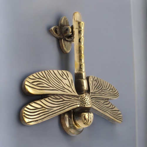 Aged brass dragonfly - dragonfly, door