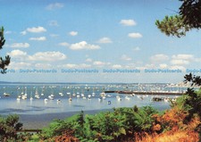 D139934 PE 23 Poole Harbour Yacht Club and Marina Delpool Dolphin Printers Micha