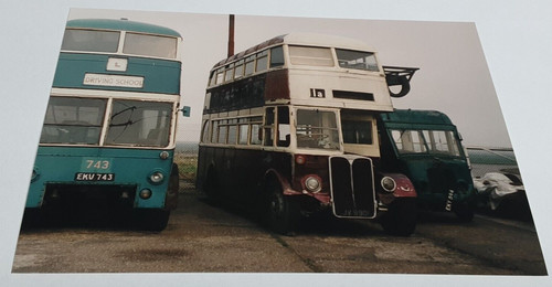 Colour bus photograph - bus,