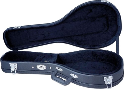 Standard style mandolin - mandolin, case