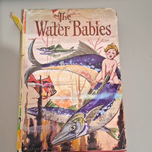 The water babies - the,