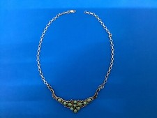 Native American Navajo Indian