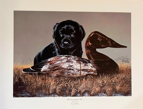Limited edition fine art print - fine,
