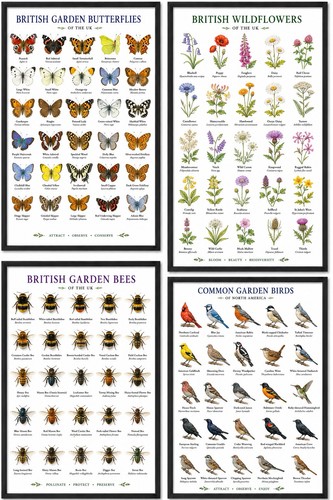 Set british wildlife - of, 4