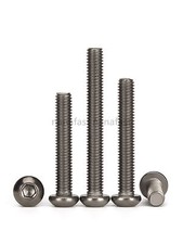 Titanium Hex Socket Bolts