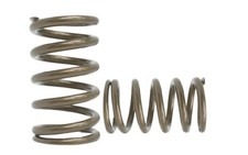 Kelford Cams Valve Spring Kit